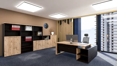 Vadovo kabineto baldai